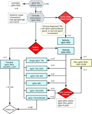 Clinicopathological Patterns and Predictors of the Functional Restoration of Immunoglobulin G4-Related Kidney Disease: A Chinese Single-Center Cohort Study